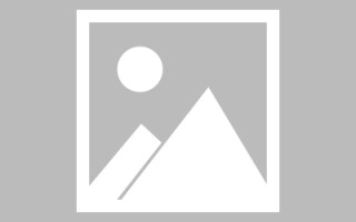 池州新区景区网站建设（in art criticism,you must assume）